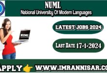 NUML Jobs 2024 Online Apply