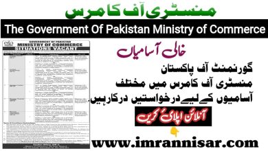 MOC Ministry Of Commerce Jobs in Pakistan 2024